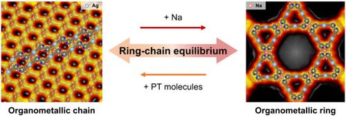 Directing Organometallic Ring–Chain Equilibrium by Electrostatic Interactions