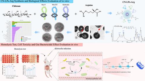 Multi-Lasso Peptide-Based Synergistic Nanocomposite: A High-Stability, Broad-Spectrum Antimicrobial Agent with Potential for Combined Antibacterial Therapy