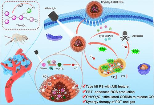 Dual-Mode Reactive Oxygen Species-Stimulated Carbon Monoxide Release for Synergistic Photodynamic and Gas Tumor Therapy