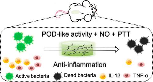 Self-Healing Nanozyme Hydrogel with Nitric Oxide Production and Photothermal Effect to Promote Wound Healing