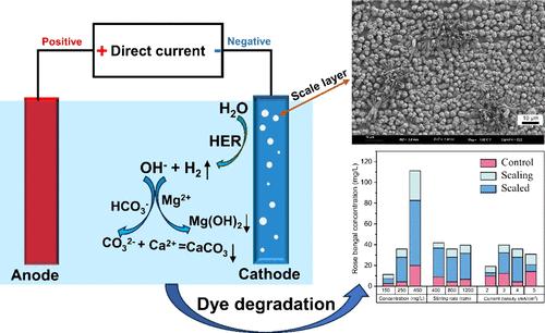 Impact of Cathodic Scaling on Electrocatalytic Degradation of Organic Pollutants