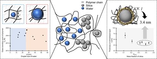 Synergistic Effects of Silica and Absorbed Water on the Structure and Properties of Silica Composite Rubber