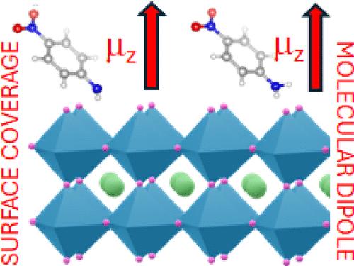 Quantifying the Effect of Interfacial Dipoles on the Energy Level Alignment of Metal-Halide Perovskites