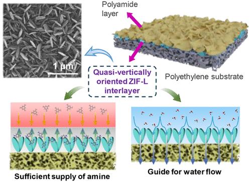 Ultrafast Water Transport of Reverse Osmosis Membrane Based on Quasi-Vertically Oriented 2D Interlayer