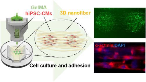 3D Nanofiber-Assisted Embedded Extrusion Bioprinting for Oriented Cardiac Tissue Fabrication