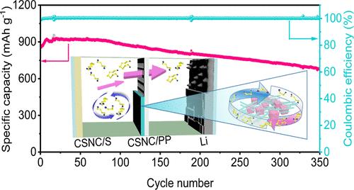 3D Conductive Nanostructure with the Lewis Acid–Base Interaction for High-Performance Lithium–Sulfur Batteries