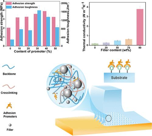 Balancing Interfacial Toughness and Intrinsic Dissipation for High Adhesion and Thermal Conductivity of Polymer-Based Thermal Interface Materials
