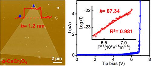 Super High-k Unit-Cell-Thick α-CaCr2O4 Crystals