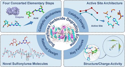 Enzymatic Degradation toward Herbicides: The Case of the Sulfonylureas