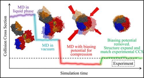 Elucidating Protein Structures in the Gas Phase: Traversing Configuration Space with Biasing Methods