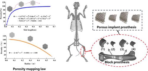 Study on Optimization of the Structural Mechanical Properties of Personalized Porous Implant Prosthesis