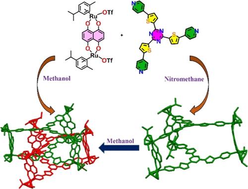 Solvent- and Concentration-Induced Topological Transformation of a Ruthenium(II)-Based Trigonal Prism to a Triply Interlocked [2] Catenane