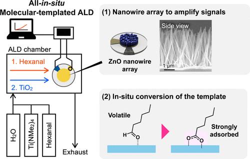 All-in Situ Molecular-Templated Atomic Layer Deposition for Volatile Organic Compound Sensors