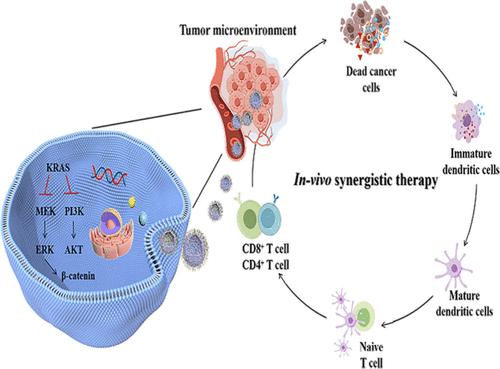 Stromal Reprogramming Optimizes KRAS-Specific Chemotherapy Inducing Antitumor Immunity in Pancreatic Cancer