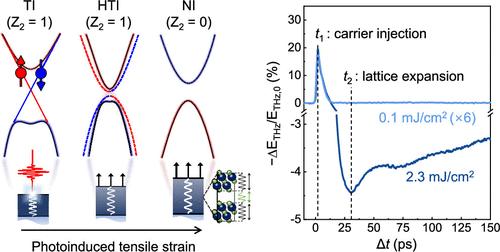 Spectroscopic Evidence of Ultrafast Topological Phase Transition by Light-Driven Strain