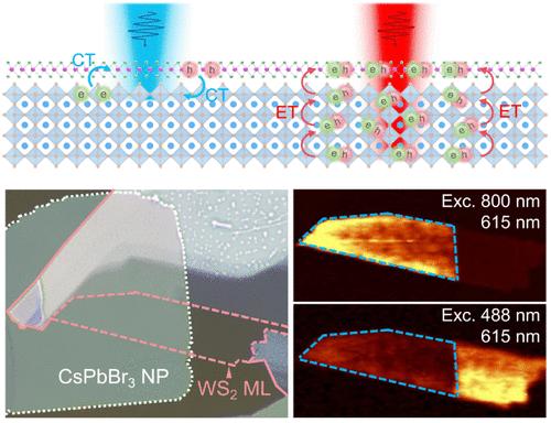 Efficient Energy Transfer Enabled by Dark States in van der Waals Heterostructures