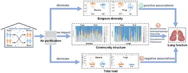 Associations of indoor airborne microbiome with lung function: evidence from a randomized, double-blind, crossover study of microbial intervention†