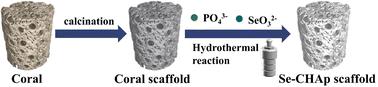 Study on porous coral scaffolds containing a hydroxyapatite layer doped with selenium and their properties