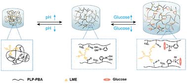 pH and glucose dual-responsive phenylboronic acid hydrogels for smart insulin delivery†