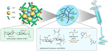 Carboxymethyl cellulose-stabilized calcium phosphate particles for injectable hydrogel-based bone tissue engineering†