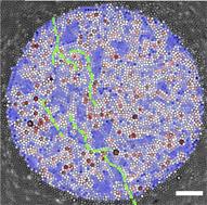 Linking local microstructure to fracture location in a two-dimensional amorphous solid under isotropic strain†