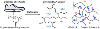 Valorization of shoe sole waste into high-performance cationic dye sorbents via sulfonation†