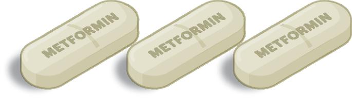 Metformin slows signs of primate aging