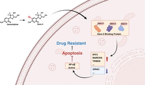 Identification of Aberrant Expression of Gemcitabine-Targeting Proteins in Drug-Resistant Cells Using an Activity-Based Gemcitabine Probe