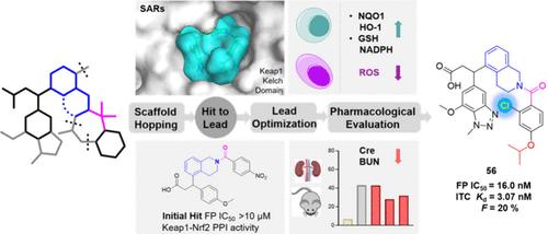 Discovery of Propionic Acid Derivatives with a 5-THIQ Core as Potent and Orally Bioavailable Keap1–Nrf2 Protein–Protein Interaction Inhibitors for Acute Kidney Injury