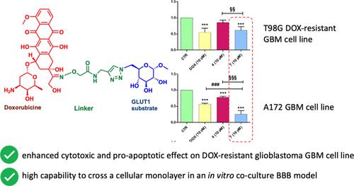 Oxime Linked Doxorubicin Glycoconjugates Improve the Specific Targeting of Glioblastoma in High-Grade Glioma Therapy