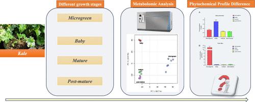 Ultrahigh-Performance Liquid Chromatography-High-Resolution Mass Spectrometry Analysis of Phytochemical Profiles of Kale (Brassica oleracea var. sabellica) Harvested at Different Stages of Development