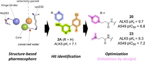 Design, Synthesis, and Activity of a Novel Series of Pyridazine-Based ALK5 Inhibitors