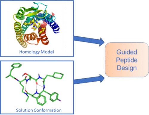 Cyclic Peptide C5aR1 Antagonist Design Using Solution Conformational Analysis Derived from Residual Dipolar Couplings