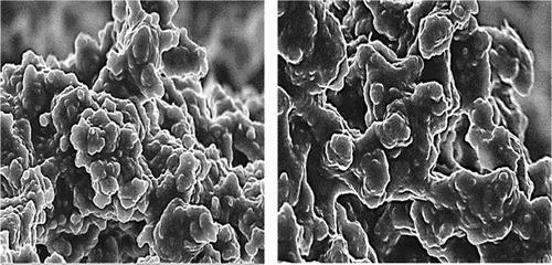 Effects of the Blend Ratio and Operating Conditions (T and P) on the Thermal and Mechanical Properties of Polymer (EVA-113/Nitrile-Butadiene Rubber) Blends Prepared by Supercritical CO2