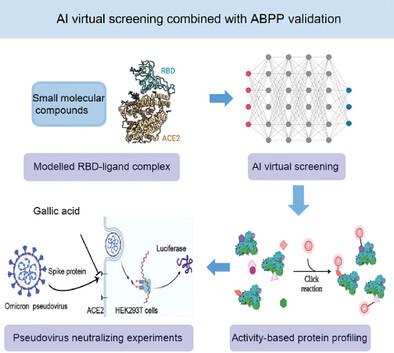 Chemical Proteomics Approaches for Screening Small Molecule Inhibitors Covalently Binding to SARS-Cov-2