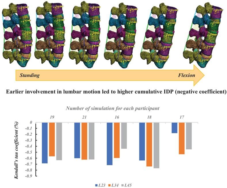 Effect of asymptomatic intervertebral flexion patterns on lumbar disc pressure: A finite element analysis study