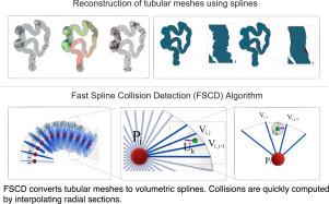 Fast spline collision detection (FSCD) algorithm for solving multiple contacts in real-time