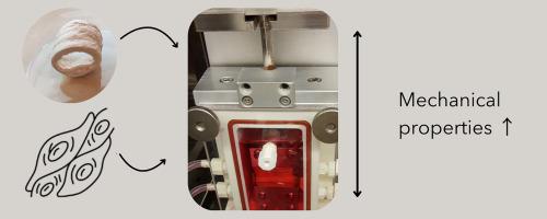 Functional outcome of cell seeded tracheal scaffold after mechanical stress in vitro