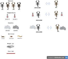 Environmental determinants of venom variability in captive scorpions: A comprehensive analysis of diet, temperature, and humidity effects