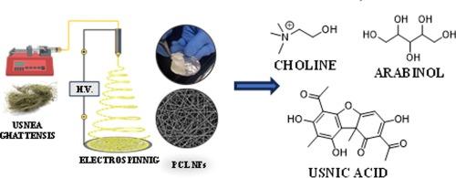 Electrospun nanofibers for localized drug release of a neuroprotective natural extract of Usnea ghattensis