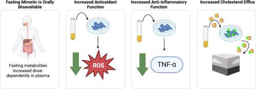 Absorption, anti-inflammatory, antioxidant, and cardioprotective impacts of a novel fasting mimetic containing spermidine, nicotinamide, palmitoylethanolamide, and oleoylethanolamide: A pilot dose-escalation study in healthy young adult men