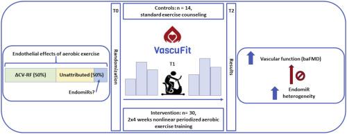 VascuFit: Aerobic exercise improves endothelial function independent of cardiovascular risk: A randomized-controlled trial