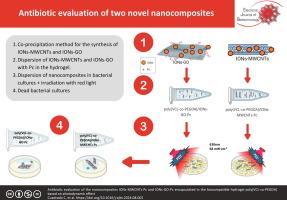 Antibiotic evaluation of the nanocomposites IONs-MWCNTs-Pc and IONs-GO-Pc encapsulated in the biocompatible hydrogel poly(VCL-co-PEGDA) based on photodynamic effect