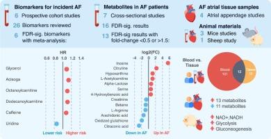 Metabolomics in atrial fibrillation - A review and meta-analysis of blood, tissue and animal models