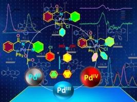 Detailed mechanistic studies on PNN-palladium pincer complex catalyzed Suzuki-Miyaura cross-coupling reaction proceeding through a PdII/PdIII/PdIV catalytic cycle