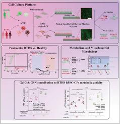 Rescue of mitochondrial dysfunction through alteration of extracellular matrix composition in barth syndrome cardiac fibroblasts