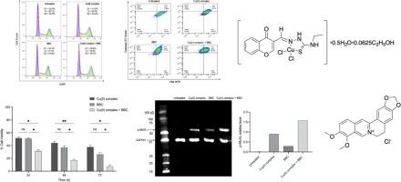 Enhancement of antitumor effects of berberine chloride with a copper(II) complex against human triple negative breast cancer: In vitro studies