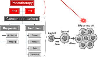 Clinical and pre-clinical advances in the PDT/PTT strategy for diagnosis and treatment of cancer