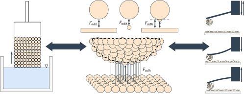 Determination of interaction forces of (sub)-micron sized particles via the capillary rise method and colloidal probe atomic force microscopy: A combined approach