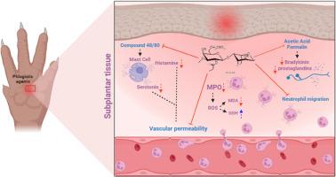 Sulfated polysaccharide extracted from the alga Gracilaria domingensis modified with propionic anhydride negatively modulates acute inflammation and experimental hypernociception